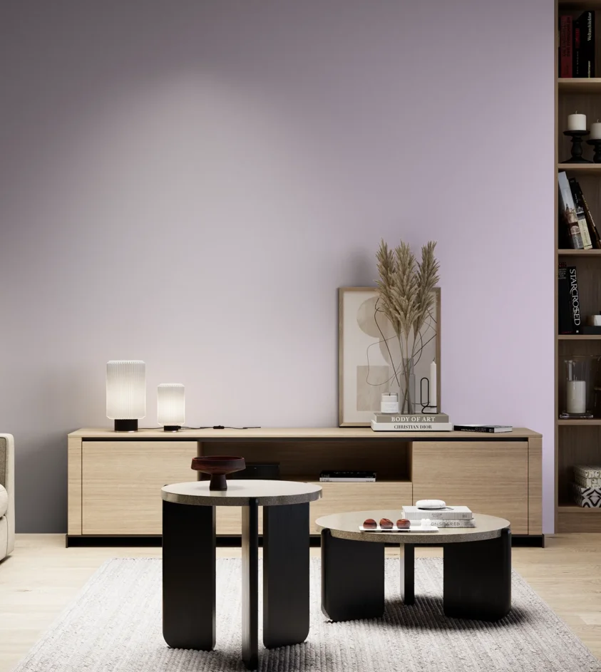 P10_SNIEZKA_salon_05_zimne_GREY_S0520-R50B