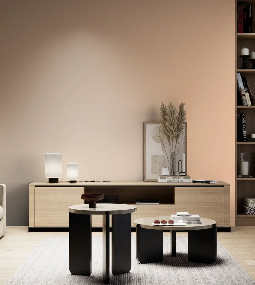 P10_SNIEZKA_salon_05_zimne_GREY_S0520-Y50R