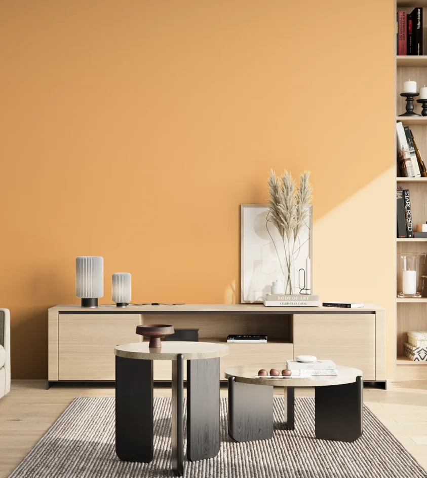 P10_SNIEZKA_salon_02_poludnie_GREY_S0540-Y30R