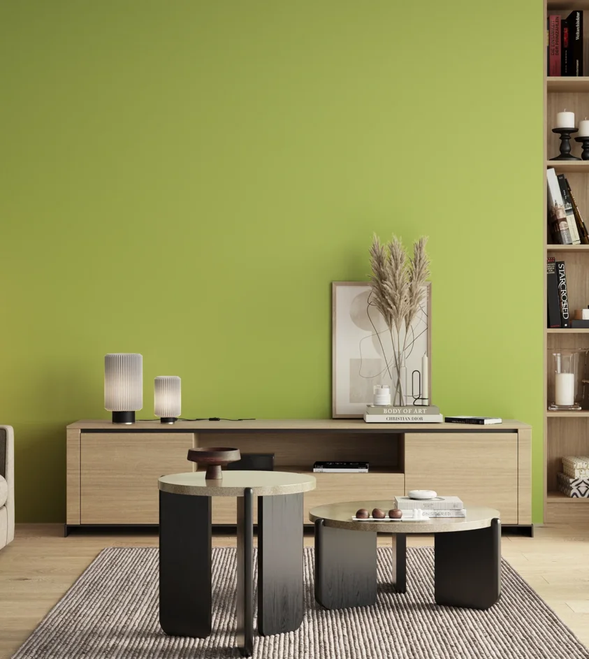 P10_SNIEZKA_salon_00_neutral_GREY_S0550-G50Y