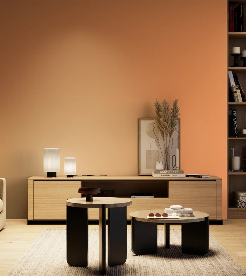 P10_SNIEZKA_salon_04_cieple_GREY_S0550-Y50R