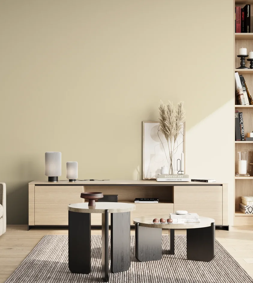 P10_SNIEZKA_salon_02_poludnie_GREY_S0907-Y10R