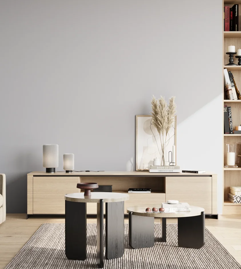 P10_SNIEZKA_salon_02_poludnie_GREY_S1005-R70B
