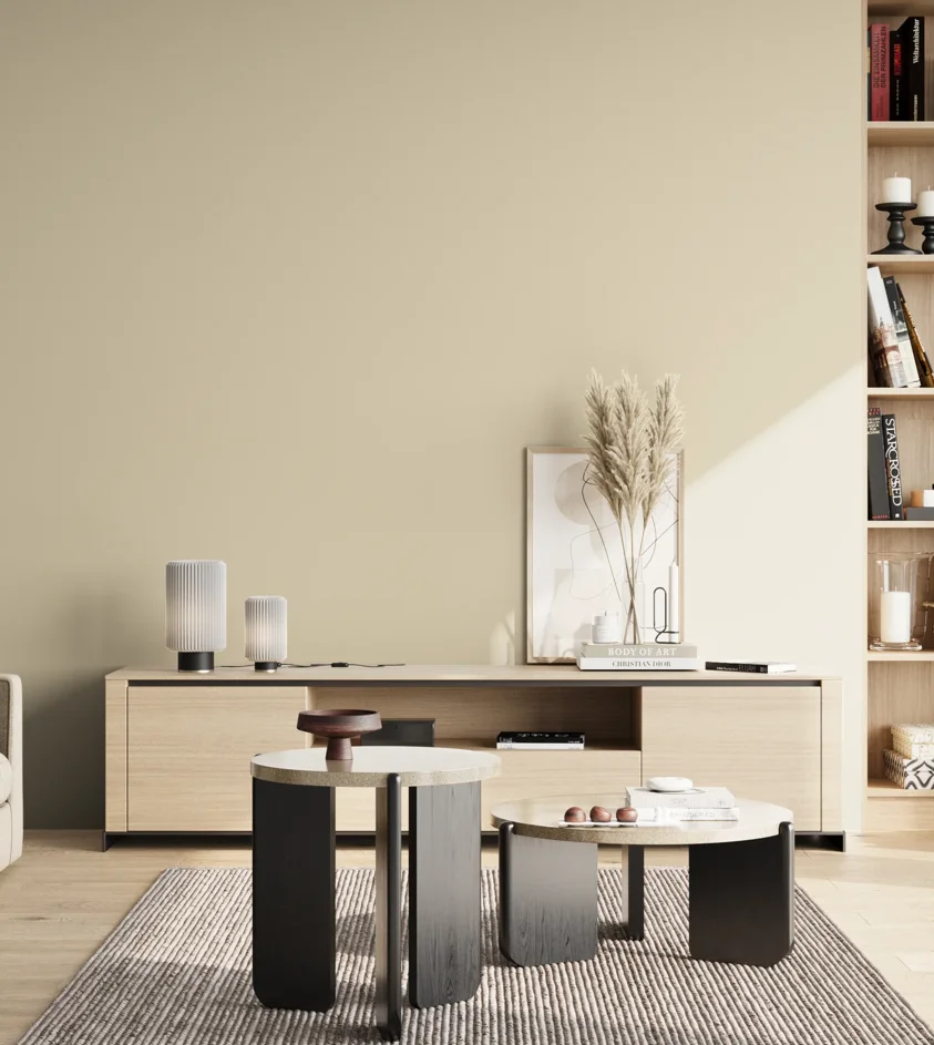 P10_SNIEZKA_salon_02_poludnie_GREY_S1005-Y20R
