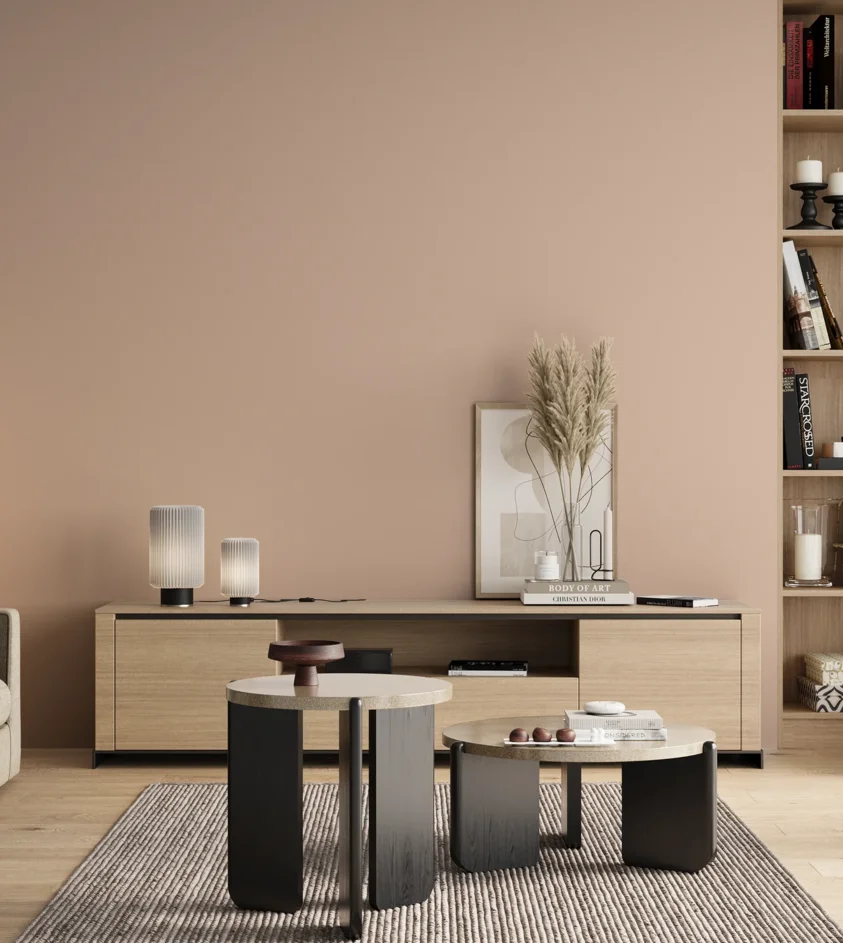 P10_SNIEZKA_salon_00_neutral_GREY_S1010-Y70R
