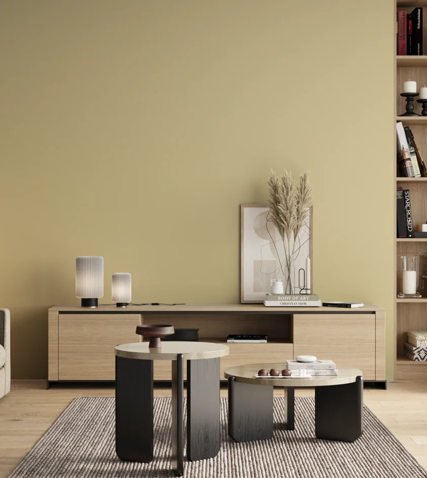 P10_SNIEZKA_salon_00_neutral_GREY_S1015-Y
