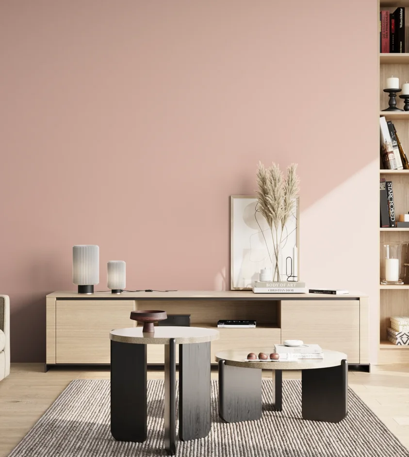 P10_SNIEZKA_salon_02_poludnie_GREY_S1015-Y90R