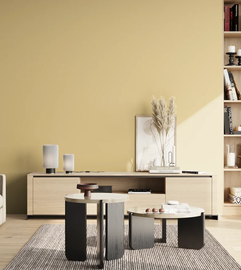 P10_SNIEZKA_salon_02_poludnie_GREY_S1020-Y10R