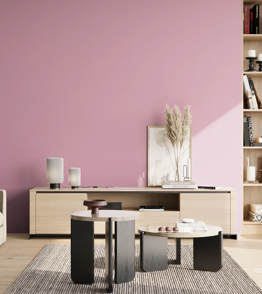 P10_SNIEZKA_salon_02_poludnie_GREY_S1030-R30B