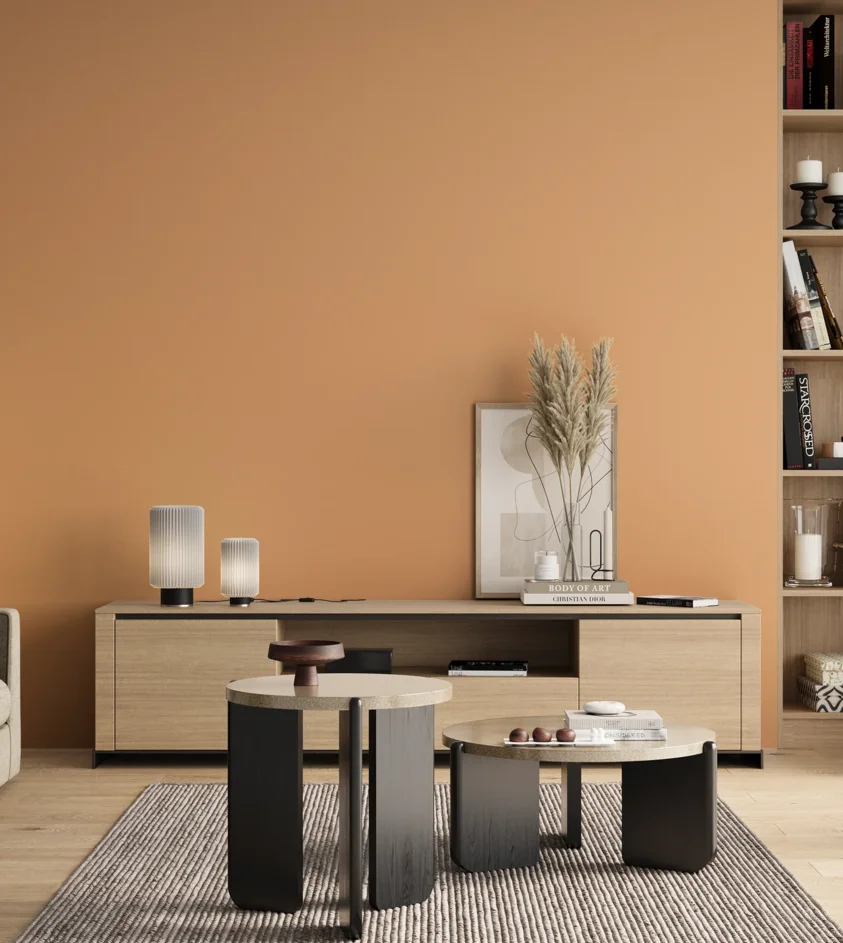 P10_SNIEZKA_salon_00_neutral_GREY_S1030-Y40R
