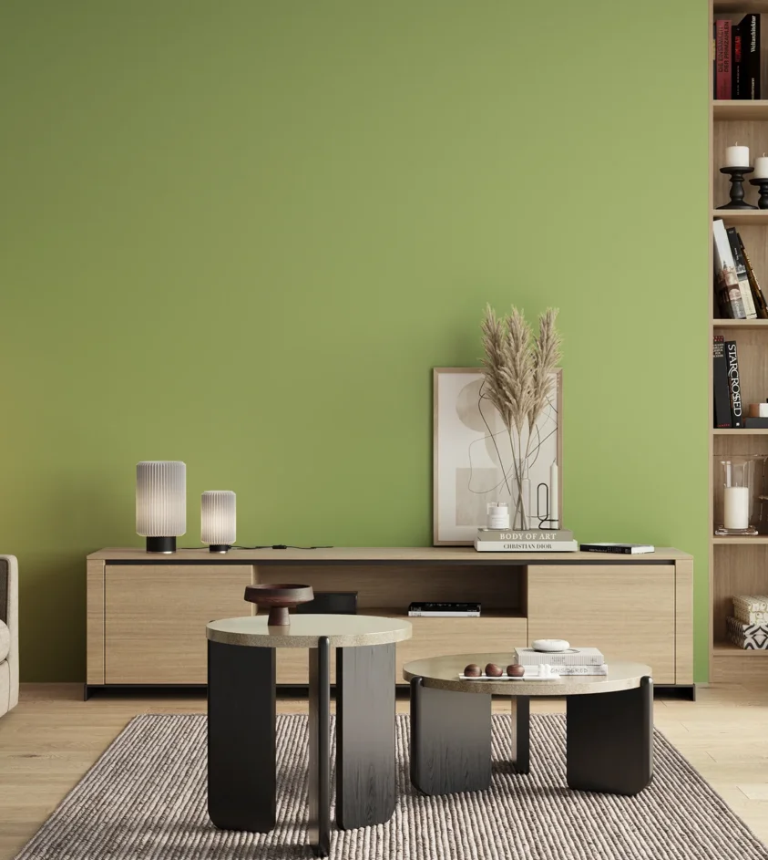 P10_SNIEZKA_salon_00_neutral_GREY_S1040-G40Y