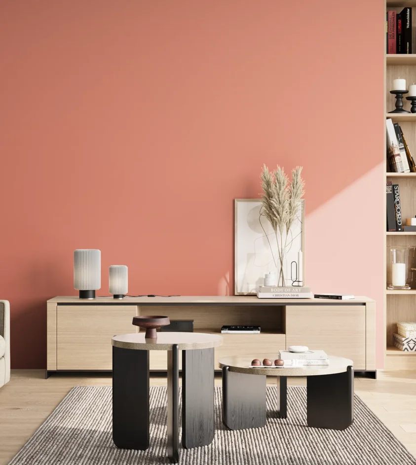 P10_SNIEZKA_salon_02_poludnie_GREY_S1040-Y80R