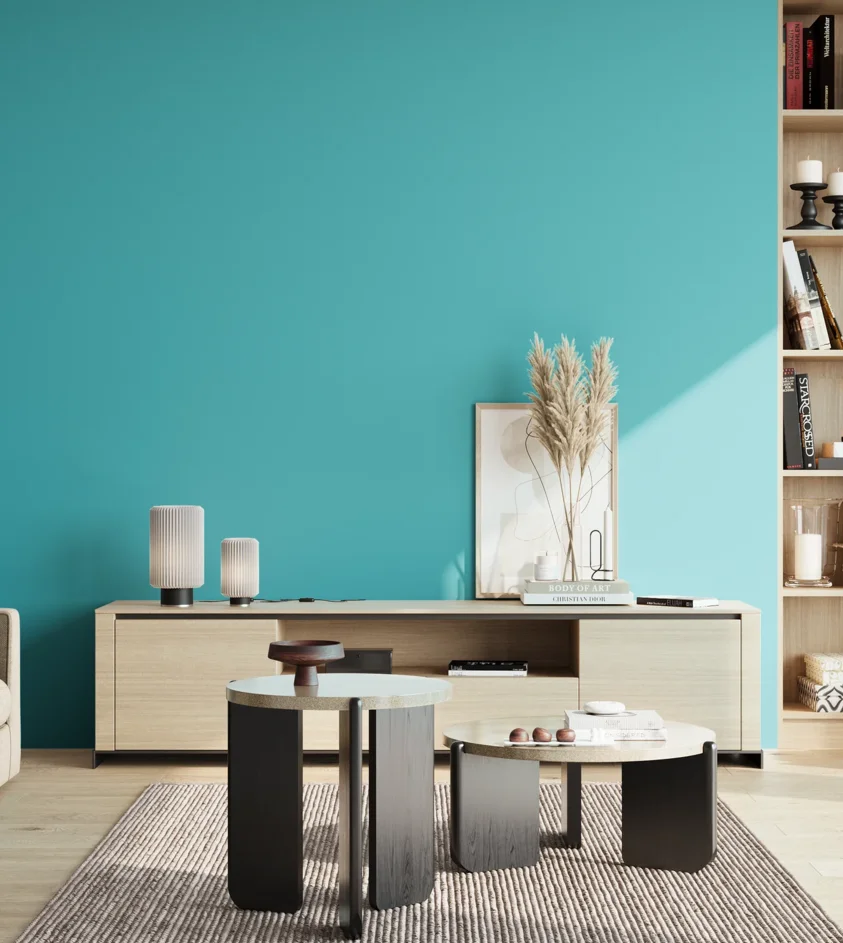 P10_SNIEZKA_salon_02_poludnie_GREY_S1050-B30G