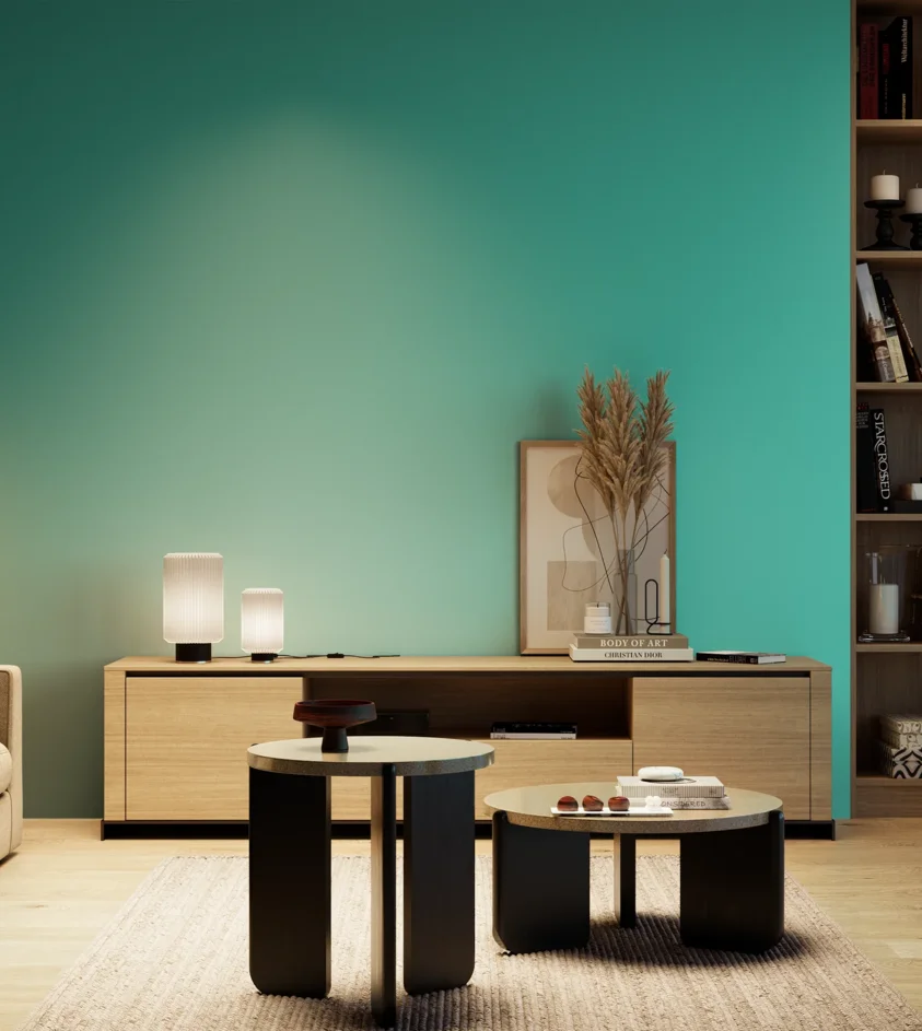 P10_SNIEZKA_salon_04_cieple_GREY_S1050-B60G