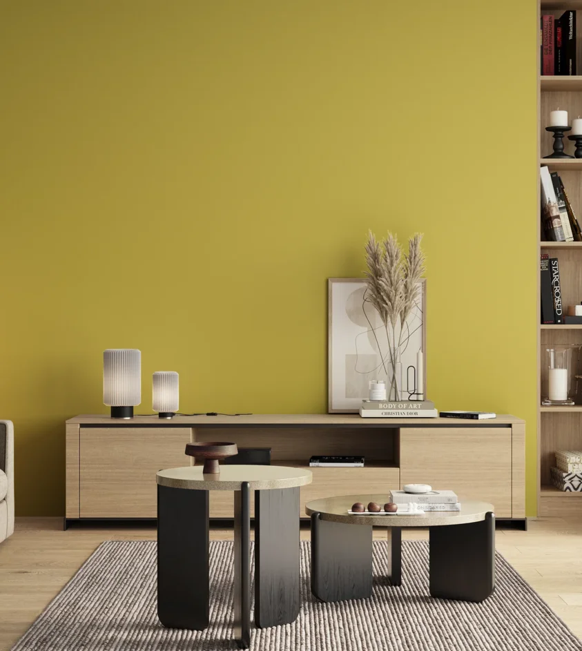 P10_SNIEZKA_salon_00_neutral_GREY_S1050-G90Y