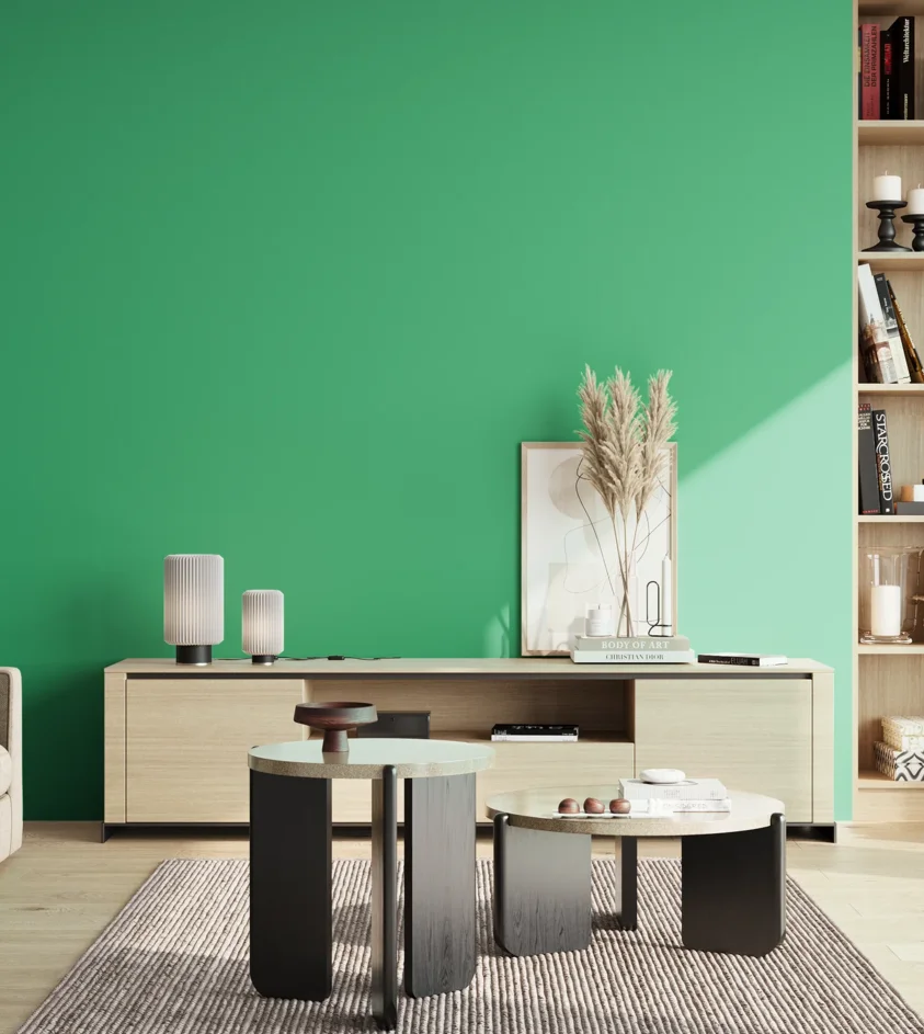 P10_SNIEZKA_salon_02_poludnie_GREY_S1060-G