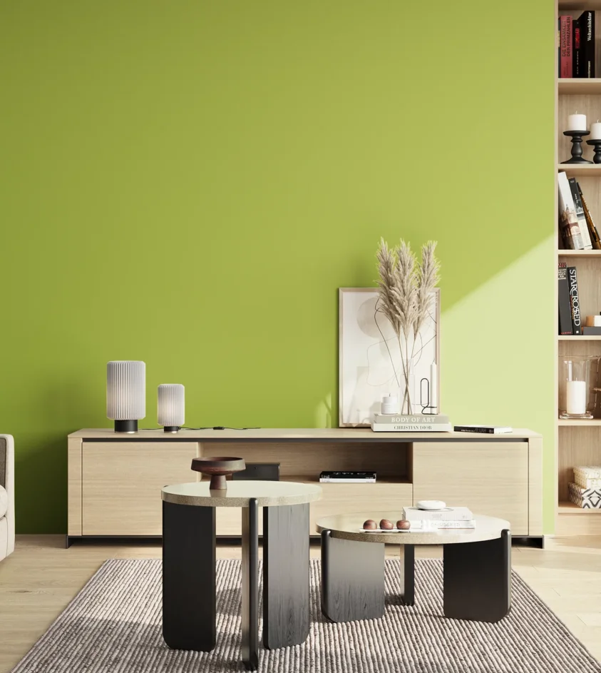 P10_SNIEZKA_salon_02_poludnie_GREY_S1060-G50Y