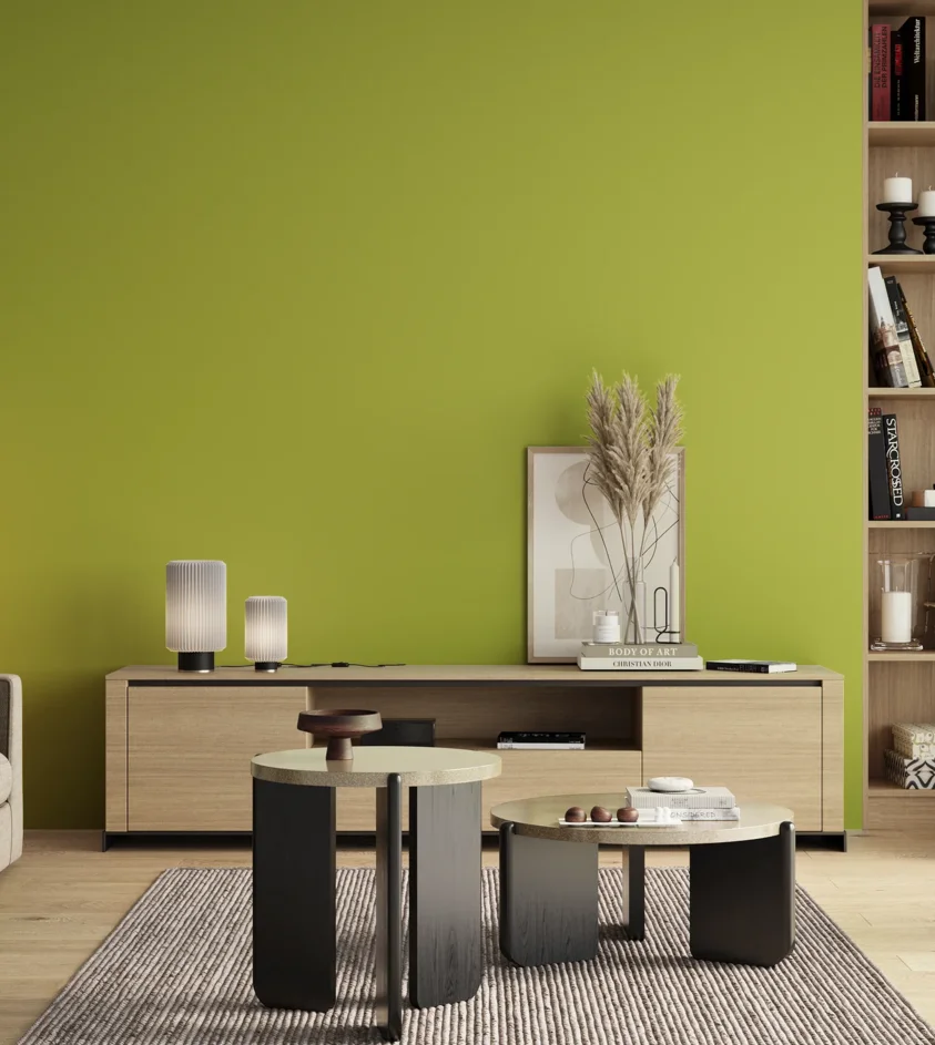 P10_SNIEZKA_salon_00_neutral_GREY_S1060-G60Y