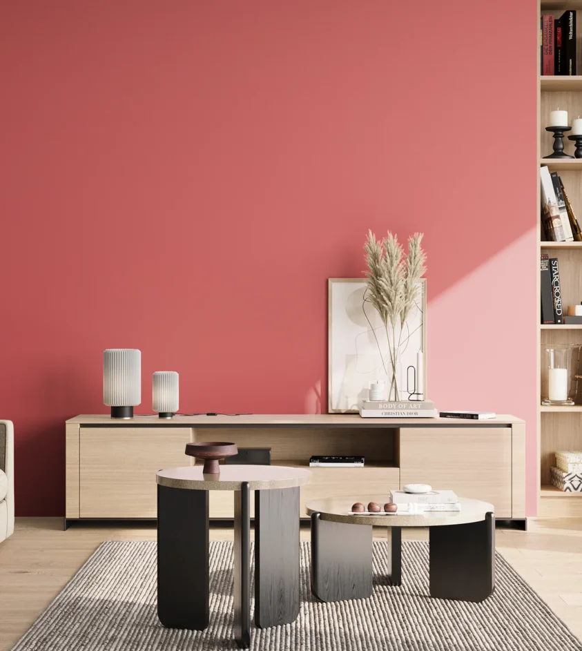 P10_SNIEZKA_salon_02_poludnie_GREY_S1060-R