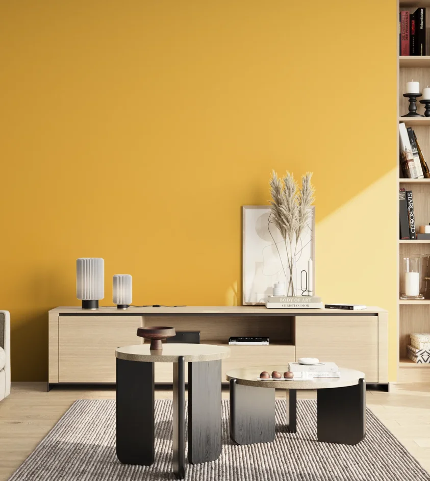 P10_SNIEZKA_salon_02_poludnie_GREY_S1060-Y10R