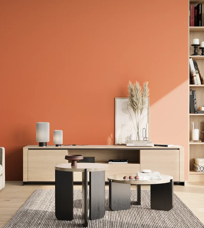 P10_SNIEZKA_salon_02_poludnie_GREY_S1060-Y60R