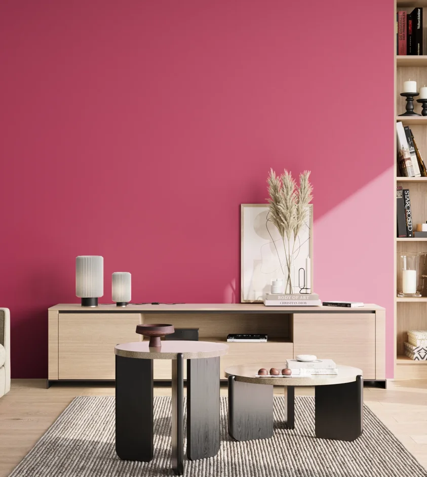 P10_SNIEZKA_salon_02_poludnie_GREY_S1070-R20B