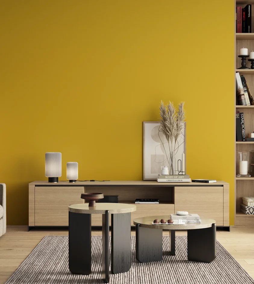 P10_SNIEZKA_salon_00_neutral_GREY_S1070-Y