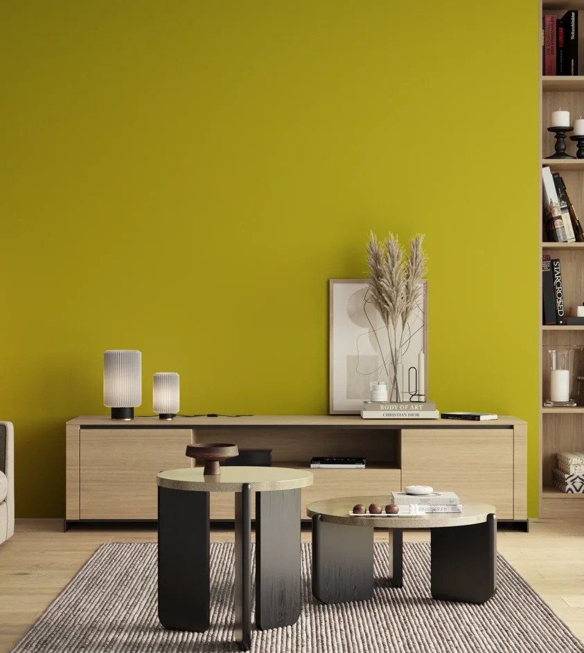 P10_SNIEZKA_salon_00_neutral_GREY_S1075-G80Y