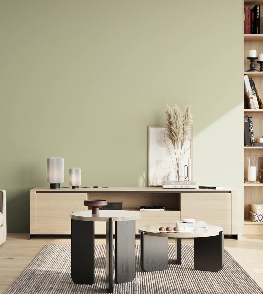 P10_SNIEZKA_salon_02_poludnie_GREY_S1510-G60Y