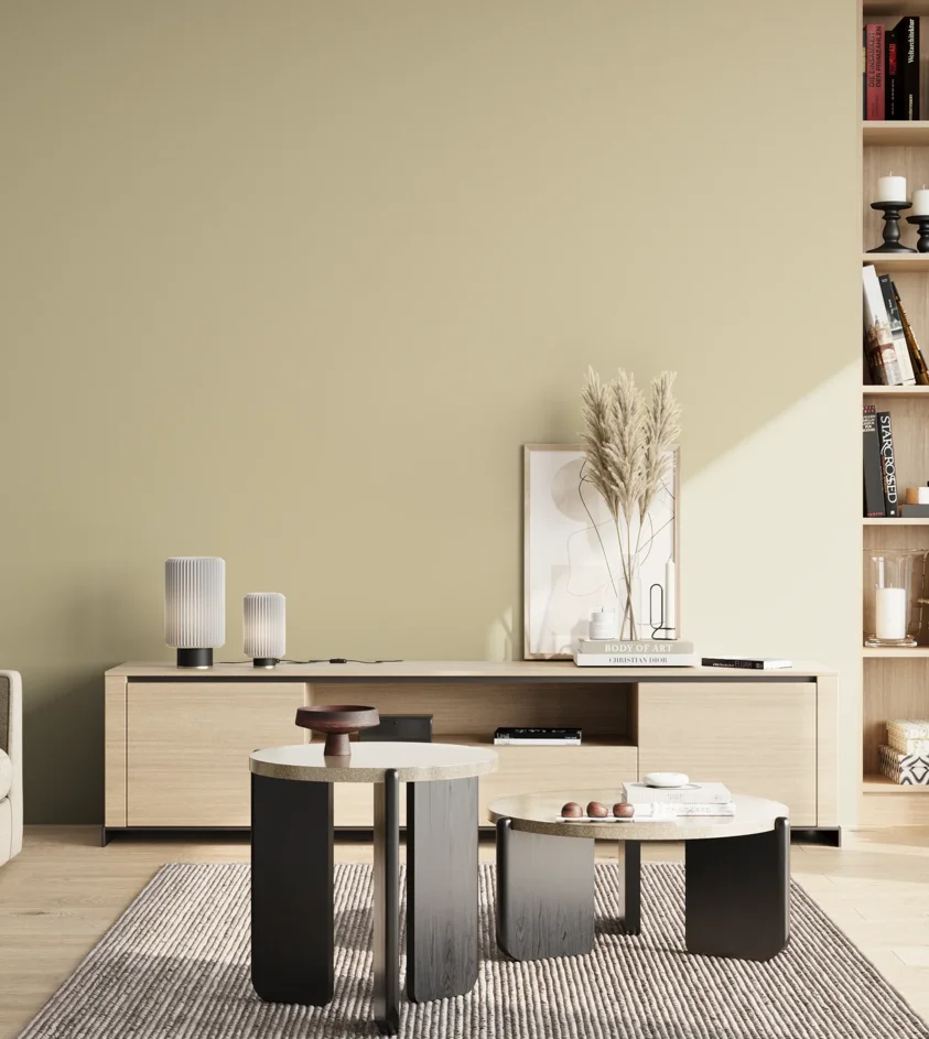 P10_SNIEZKA_salon_02_poludnie_GREY_S1510-Y