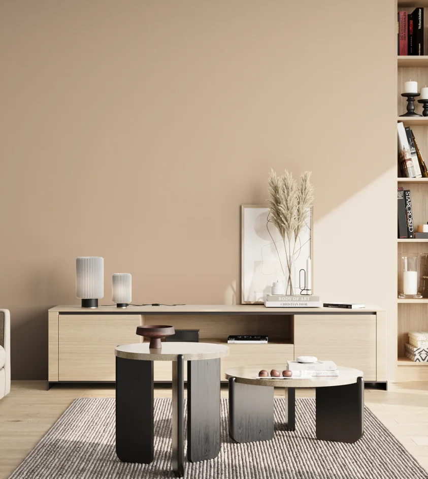 P10_SNIEZKA_salon_02_poludnie_GREY_S1510-Y50R