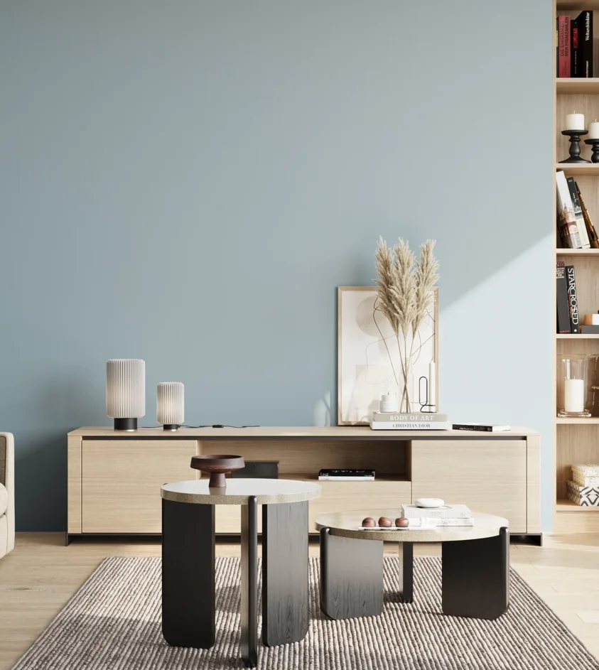 P10_SNIEZKA_salon_02_poludnie_GREY_S1515-B