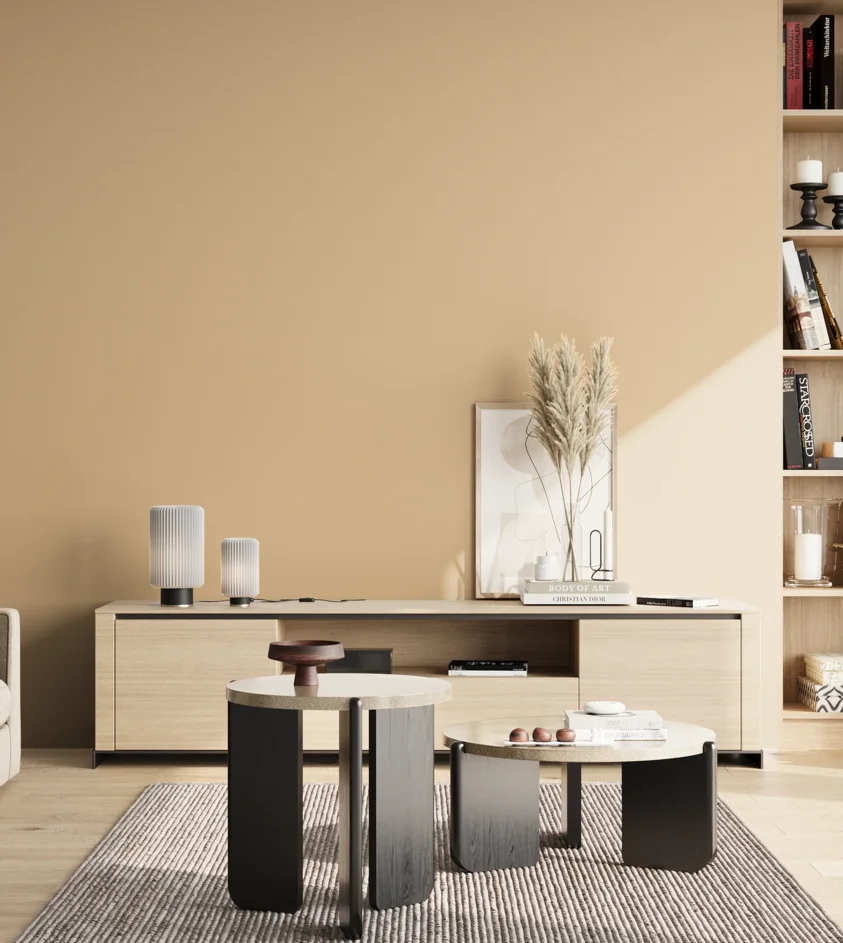 P10_SNIEZKA_salon_02_poludnie_GREY_S1515-Y30R