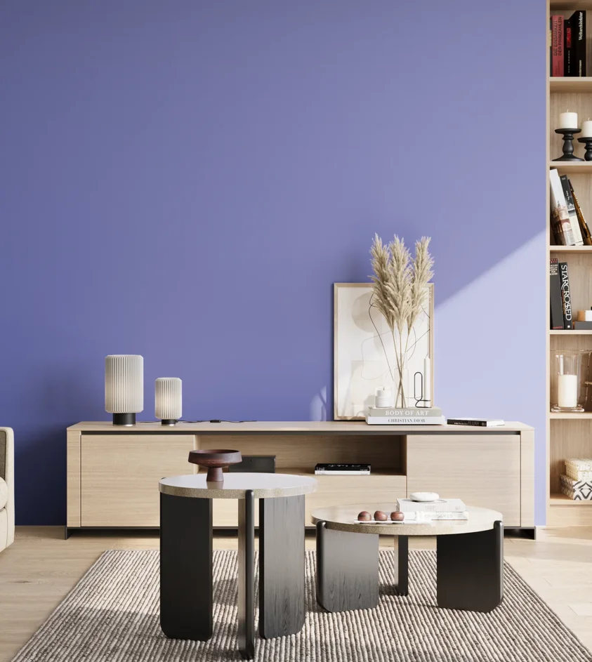 P10_SNIEZKA_salon_02_poludnie_GREY_S1555-R70B
