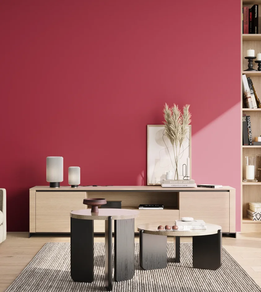 P10_SNIEZKA_salon_02_poludnie_GREY_S1575-R10B
