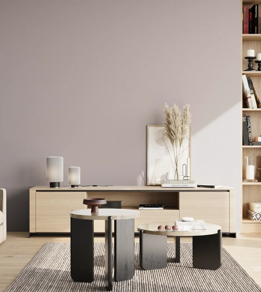 P10_SNIEZKA_salon_02_poludnie_GREY_S2005-R30B