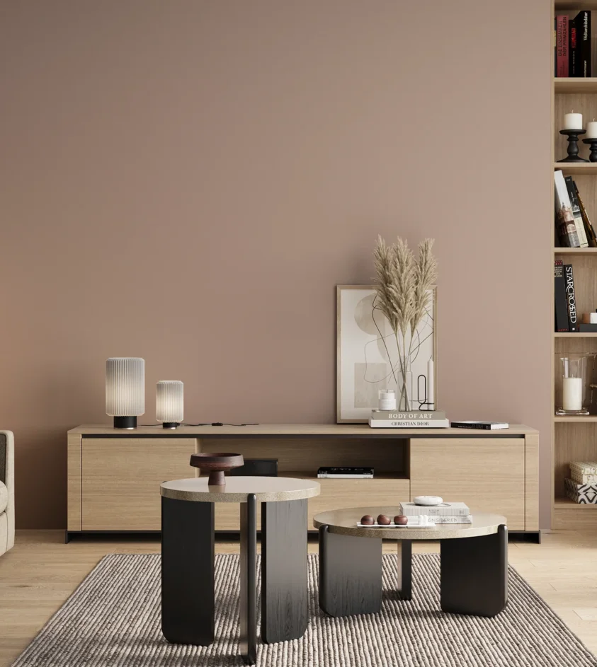 P10_SNIEZKA_salon_00_neutral_GREY_S2010-Y80R