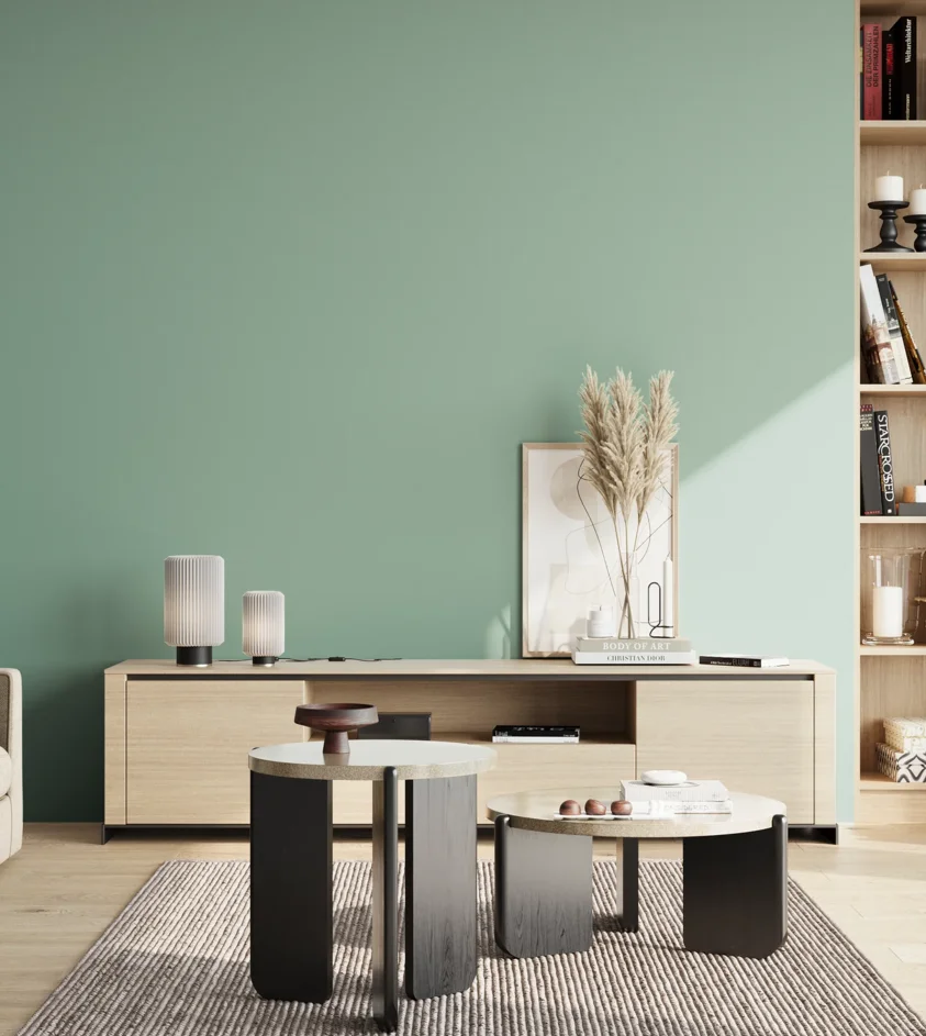 P10_SNIEZKA_salon_02_poludnie_GREY_S2020-B90G