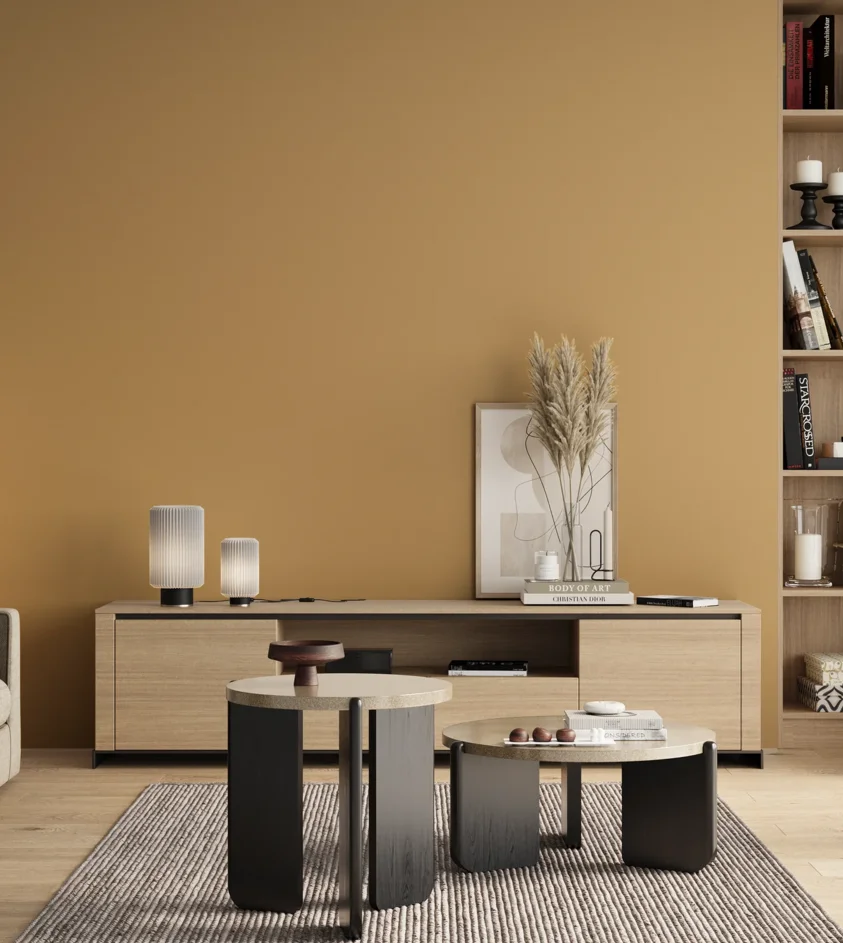 P10_SNIEZKA_salon_00_neutral_GREY_S2030-Y20R