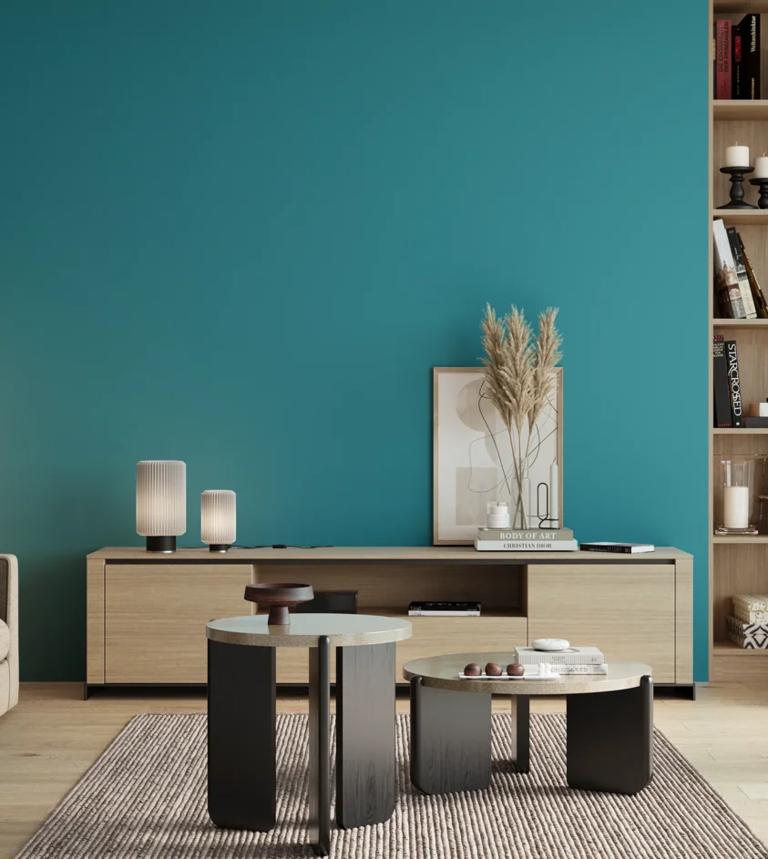 P10_SNIEZKA_salon_00_neutral_GREY_S2050-B20G
