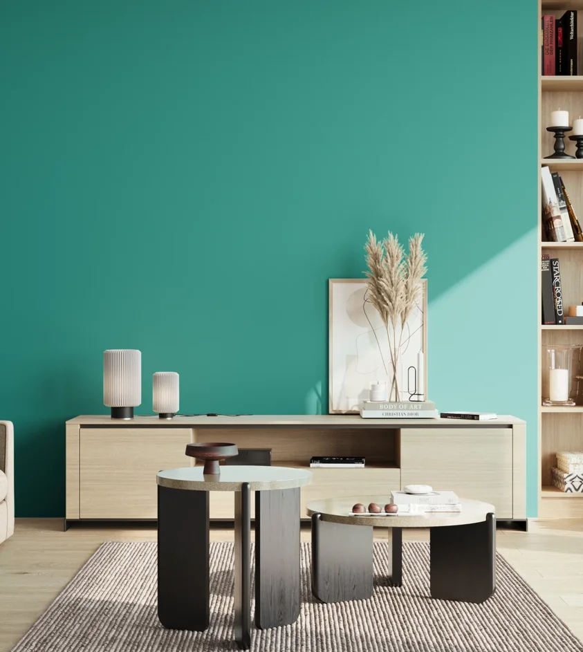 P10_SNIEZKA_salon_02_poludnie_GREY_S2050-B60G