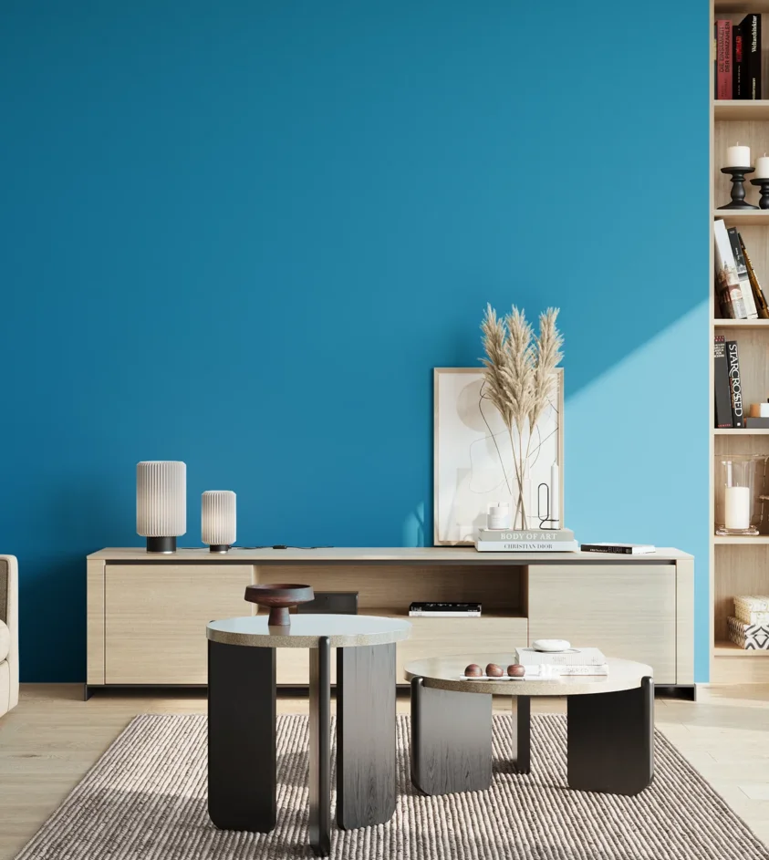 P10_SNIEZKA_salon_02_poludnie_GREY_S2060-B