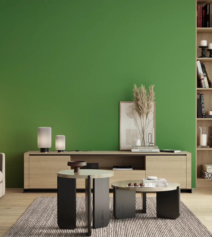 P10_SNIEZKA_salon_00_neutral_GREY_S2060-G20Y