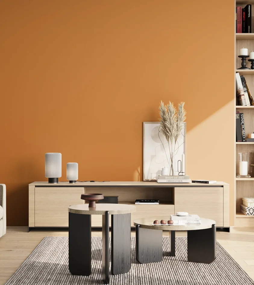 P10_SNIEZKA_salon_02_poludnie_GREY_S2060-Y30R