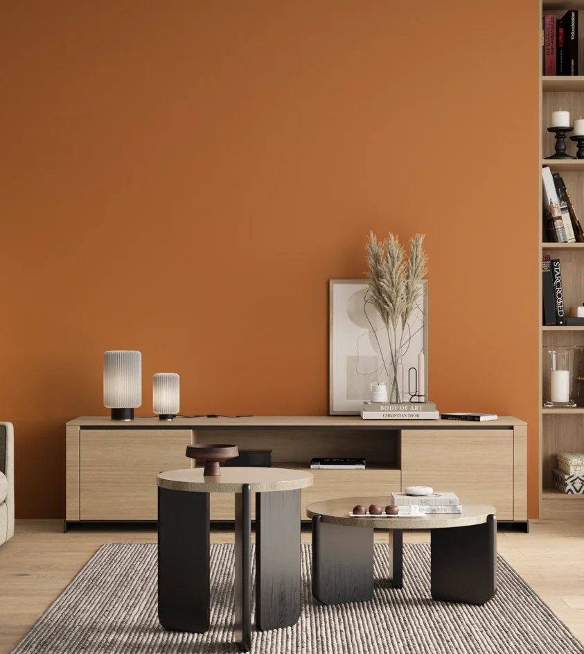 P10_SNIEZKA_salon_00_neutral_GREY_S2060-Y40R