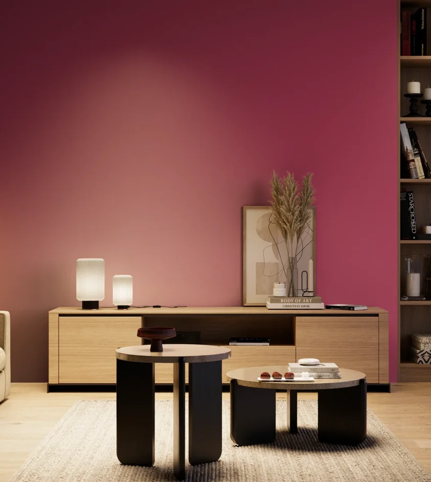 P10_SNIEZKA_salon_04_cieple_GREY_S2065-R20B