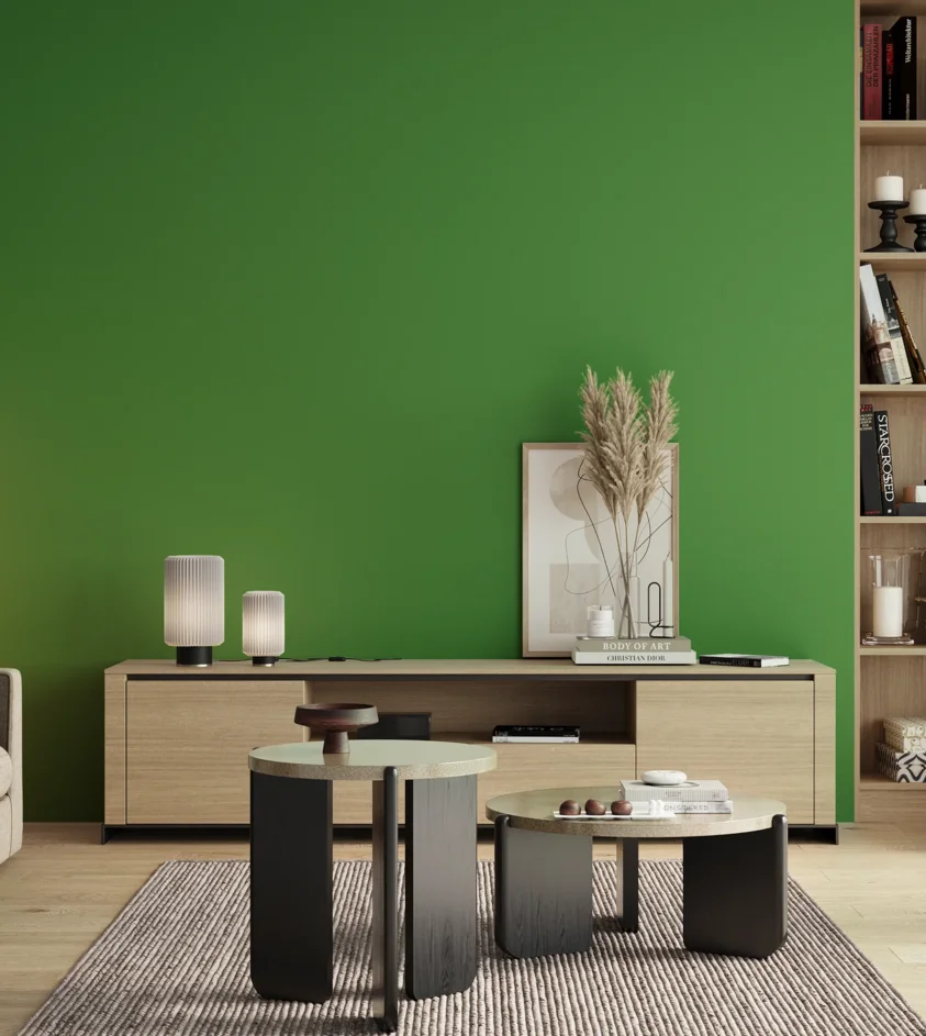 P10_SNIEZKA_salon_00_neutral_GREY_S2070-G20Y