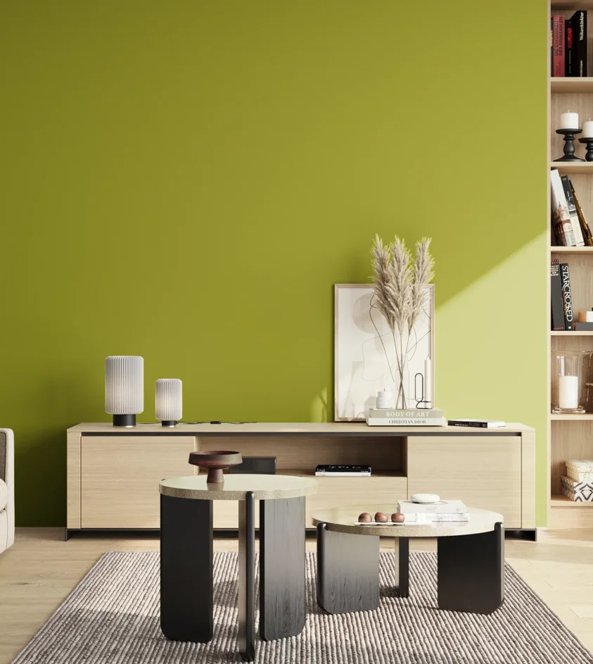 P10_SNIEZKA_salon_02_poludnie_GREY_S2070-G60Y