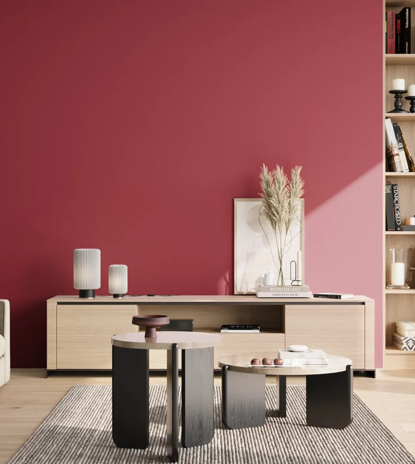 P10_SNIEZKA_salon_02_poludnie_GREY_S2070-R10B