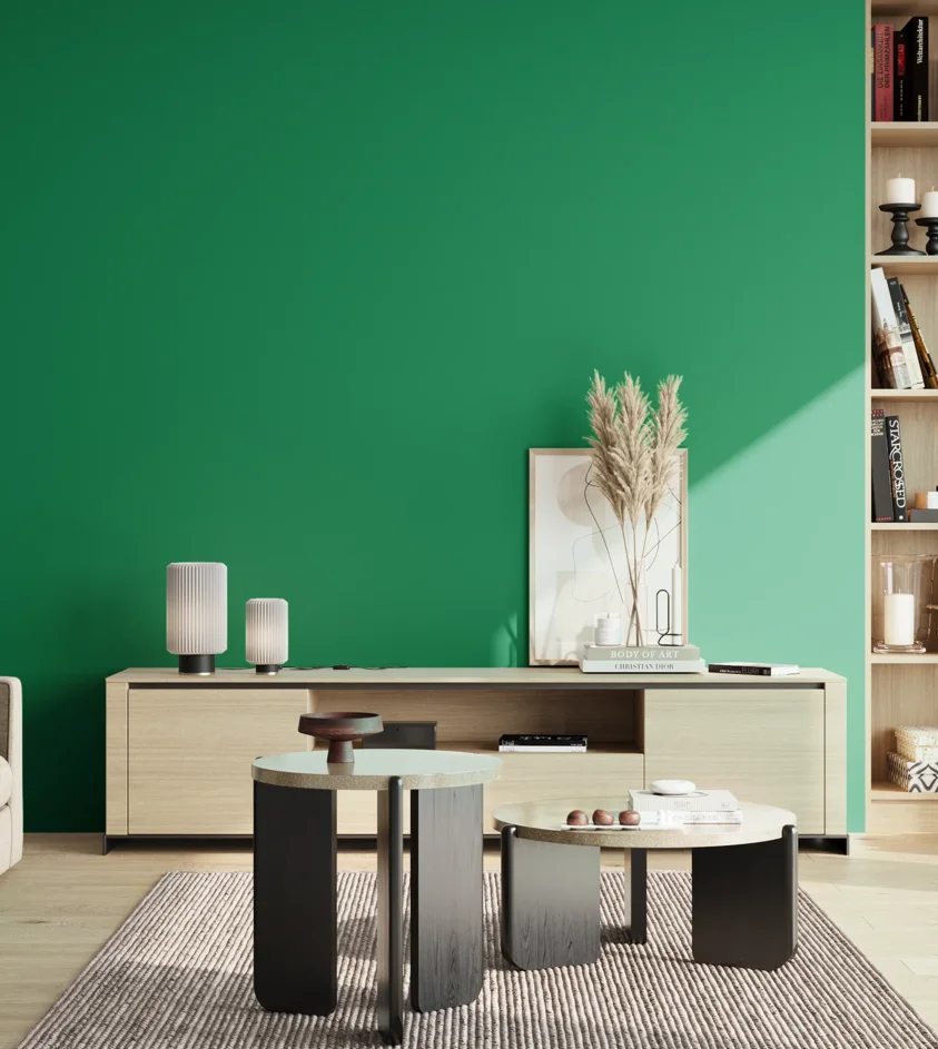 P10_SNIEZKA_salon_02_poludnie_GREY_S2565-G